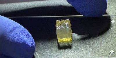 empresa-americana-anunciou-producao-tecidos-rim-figado