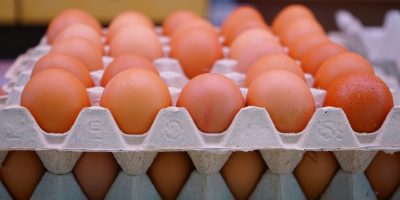 Excesso de oferta mantém pressão sobre preços dos ovos