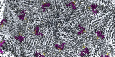 Entenda experimento de vírus criado por IA com bactérias