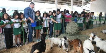Expoagro 2025 terá atrações especiais para crianças