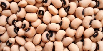 exportacoes-brasil-india-russia-avancam