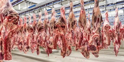 Exportações de carne garantem poder de compra recorde em MT