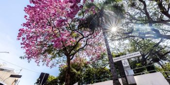 Exposição “Unidos pela Arte” chega à segunda edição em Cuiabá