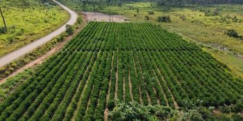 Famato defende criação de Secretaria do Agro próximo Governo