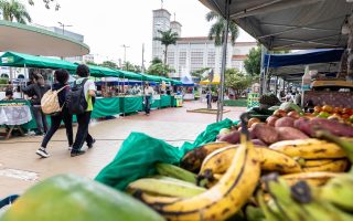 feiras-impulsionam-produtores-cuiaba