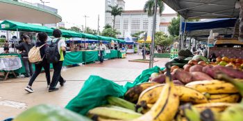 feiras-impulsionam-produtores-cuiaba