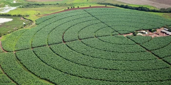 Financiamento privado do agro se mantém em R$ 1,4 tri em março