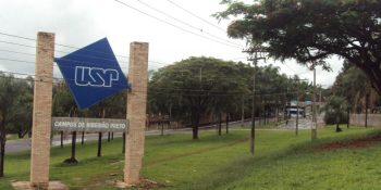 Fuvest: leitura obrigatória terá autores indígenas e peças de teatro