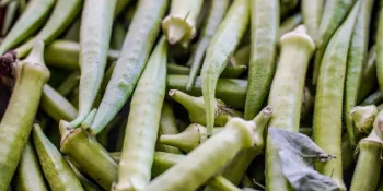 Garantia-Safra: veja lista dos que receberão pagamento em abril