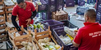 Governo anuncia crédito de R$ 97,3 bi para agricultura familiar