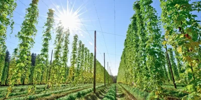 Governo federal alinha agenda agrícola com foco em bioinsumos