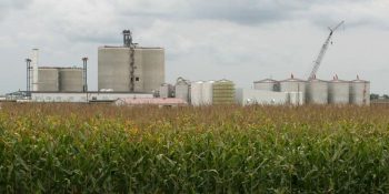 Mato Grosso deve ampliar produção de etanol em 16% safra 26/27