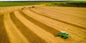 Mato Grosso consolida safra de soja 25/26 recorde