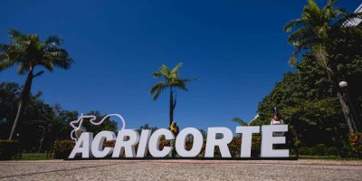 Mato Grosso lidera pecuária nacional com debates Acricorte 2026