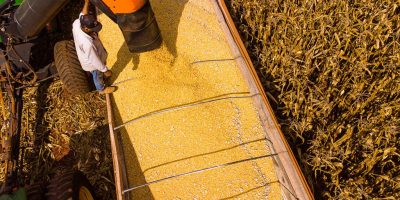 Mato Grosso lidera produção agropecuária do país