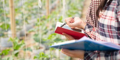 mercosul-ue-debatem-impactos-oportunidades-agricolas