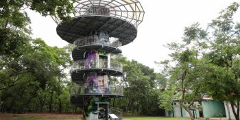Mirante do Parque Mãe Bonifácia é reaberto, saiba mais!