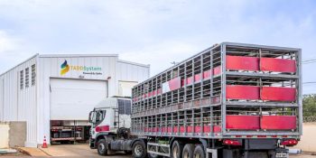 modernizacao-eletrica-impulsiona-avicultura-suinocultura