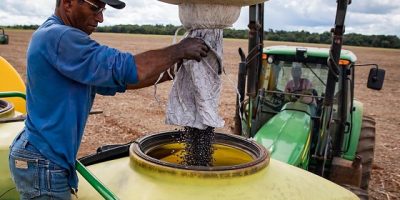 mt-gera-alto-indice-empregos-agropecuaria