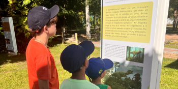 Museu promove dia meio ambiente com programação pra família