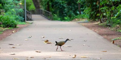 Parques de Várzea Grande são opção gratuita de lazer no feriadão