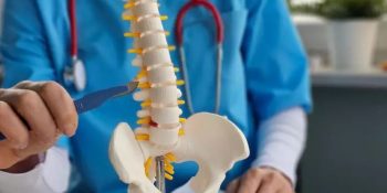 pesquisa-ufrj-estuda-recuperacao-lesoes-medulares