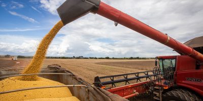 PIB da agropecuária cresce 2% e corresponde a 7% do PIB