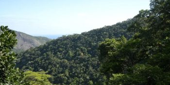 plano-transformacao-ecologica-atrai-capital-privado