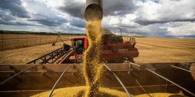 Plantio de soja no Brasil vai a quase 20% da área, ritmo recorde