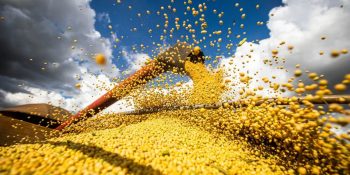 producao-agricola-brasil-salta-2025