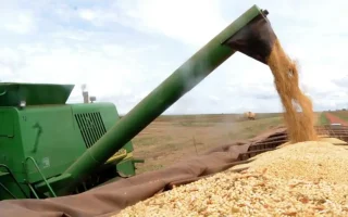 Reforma Tributária promove mudança fiscal para o agronegócio