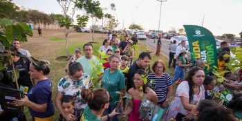 Rondonópolis doa seis mil mudas de árvores aos moradores
