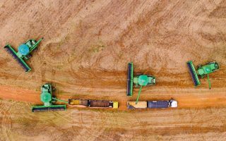 Sefaz define regras para incentivo fiscal à soja a granel em 2026