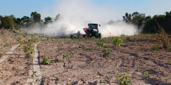 Sorriso começa a receber calcário destinado à agricultura familiar
