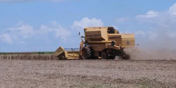 Tarifaço leva agro a reforçar estratégia em Washington