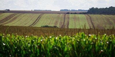 tempo-seco-influencia-lavouras