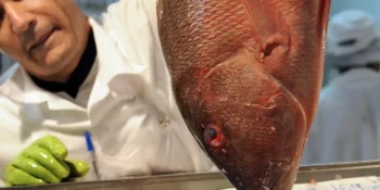 Várzea Grande garante 15 toneladas de peixe com qualidade