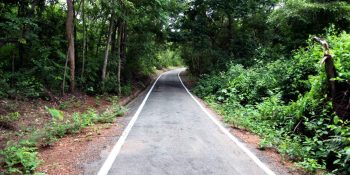 Várzea Grande avança ao tornar área em Parque Natural Municipal