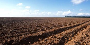 vazio-sanitario-soja-esta-vigor-mt