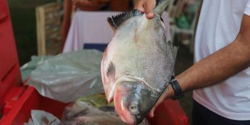 "VG Santo Peixe" leva 20 toneladas de pescado mais barato